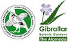 Flora of Gibraltar 